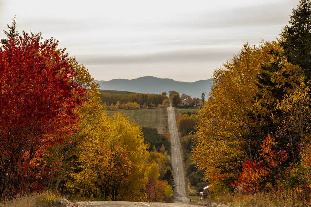 Wow! la féérie des couleurs d'automne!  Magnifiques photos de Chantale Beaulieu